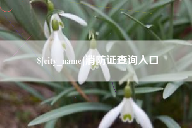 庄河消防证查询入口