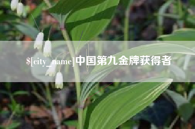 庄河中国第九金牌获得者