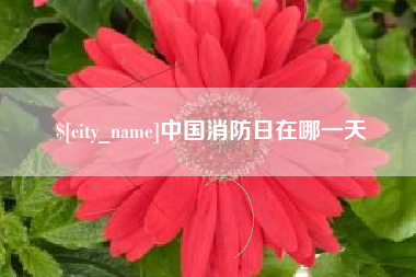庄河中国消防日在哪一天