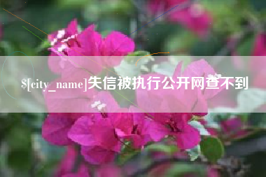 庄河失信被执行公开网查不到
