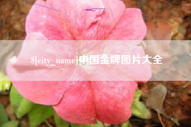 庄河中国金牌图片大全