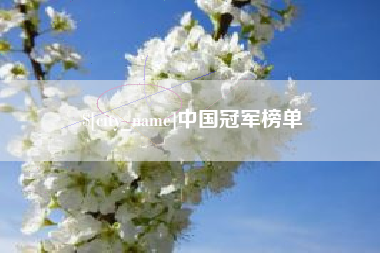 庄河中国冠军榜单
