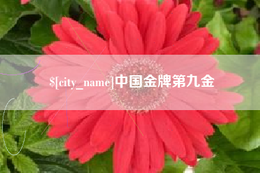 庄河中国金牌第九金