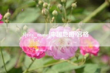 庄河中国地图9宫格