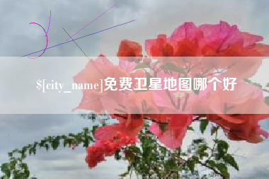 庄河免费卫星地图哪个好