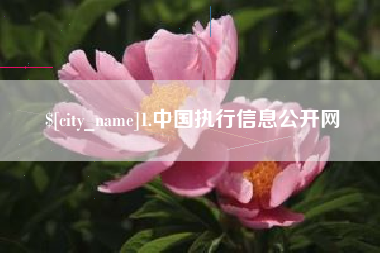 庄河1.中国执行信息公开网