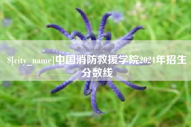 庄河中国消防救援学院2024年招生分数线