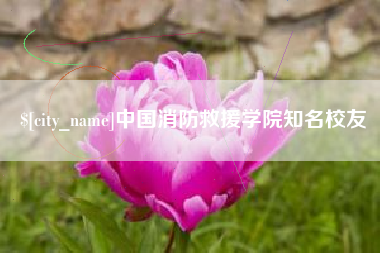 庄河中国消防救援学院知名校友