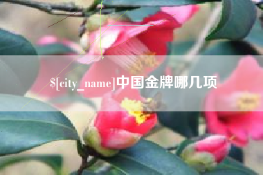 庄河中国金牌哪几项