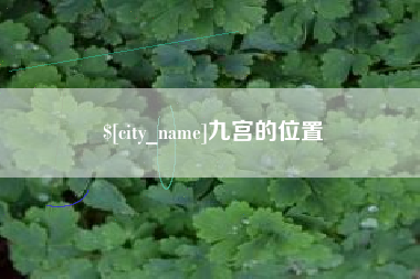 庄河九宫的位置