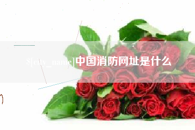 庄河中国消防网址是什么