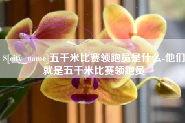 庄河五千米比赛领跑员是什么-他们就是五千米比赛领跑员