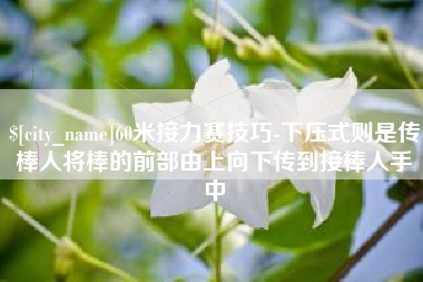 庄河60米接力赛技巧-下压式则是传棒人将棒的前部由上向下传到接棒人手中