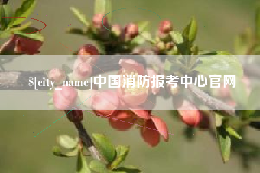 庄河中国消防报考中心官网