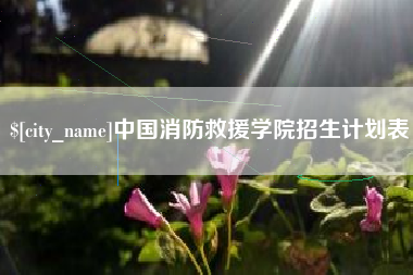 庄河中国消防救援学院招生计划表
