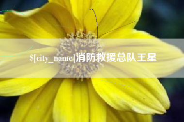 庄河消防救援总队王星