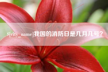 庄河我国的消防日是几月几号？
