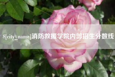 庄河消防救援学院内部招生分数线