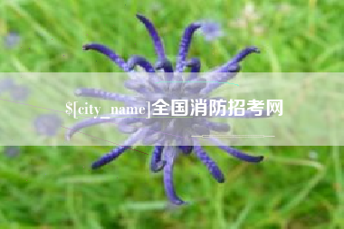 庄河全国消防招考网