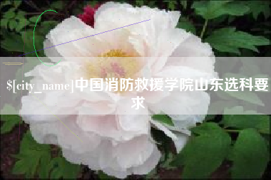 庄河中国消防救援学院山东选科要求