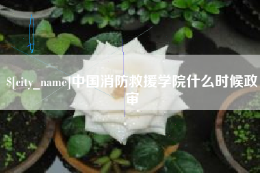 庄河中国消防救援学院什么时候政审