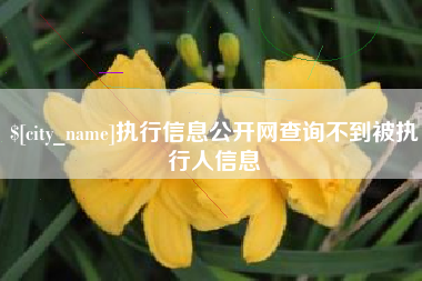 庄河执行信息公开网查询不到被执行人信息