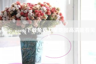 庄河下载免费卫星地图高清能看见人