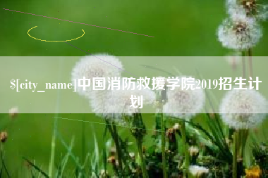 庄河中国消防救援学院2019招生计划