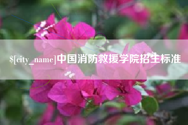 庄河中国消防救援学院招生标准