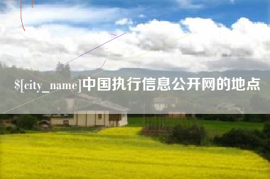 庄河中国执行信息公开网的地点