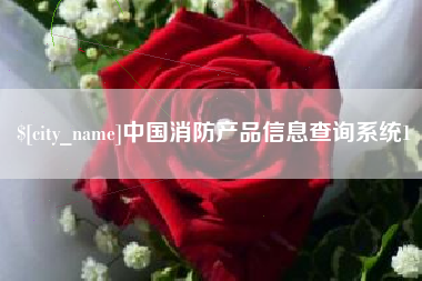 庄河中国消防产品信息查询系统1