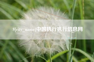 庄河中国执行执行信息网