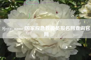 庄河国家应急救援员报名网查询官网