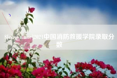 庄河2021中国消防救援学院录取分数