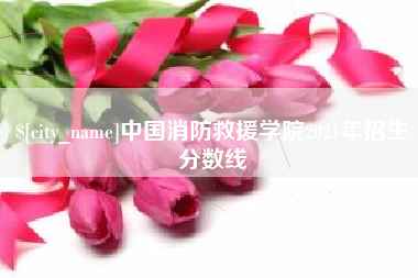 庄河中国消防救援学院2021年招生分数线