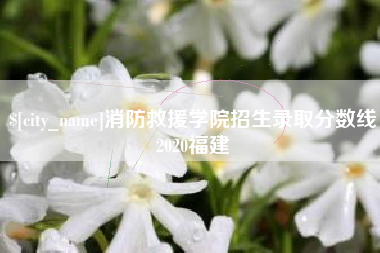 庄河消防救援学院招生录取分数线2020福建