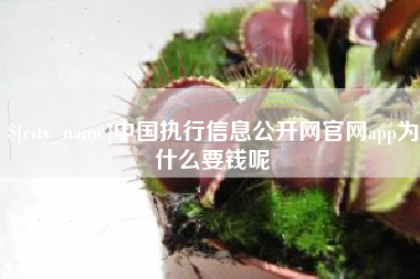 庄河中国执行信息公开网官网app为什么要钱呢