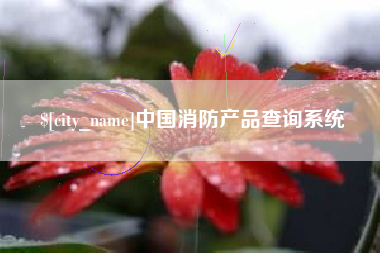 庄河中国消防产品查询系统