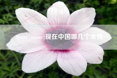 庄河现在中国哪几个金牌