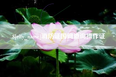 庄河消防证国网查询操作证
