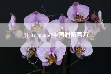 庄河中国消防官方