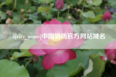 庄河中国消防官方网站域名