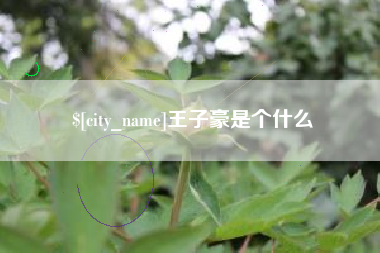 庄河王子豪是个什么
