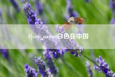 庄河白色在中国