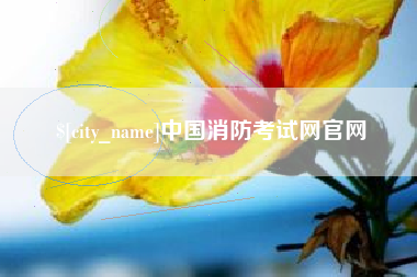 庄河中国消防考试网官网