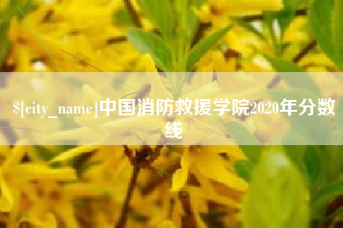 庄河中国消防救援学院2020年分数线