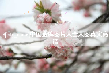 庄河中国金牌图片大全大图真实高清