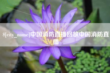 庄河中国消防直播回放中国消防直播