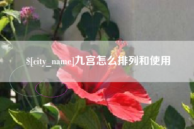 庄河九宫怎么排列和使用