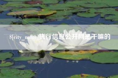 庄河执行信息公开网是干嘛的